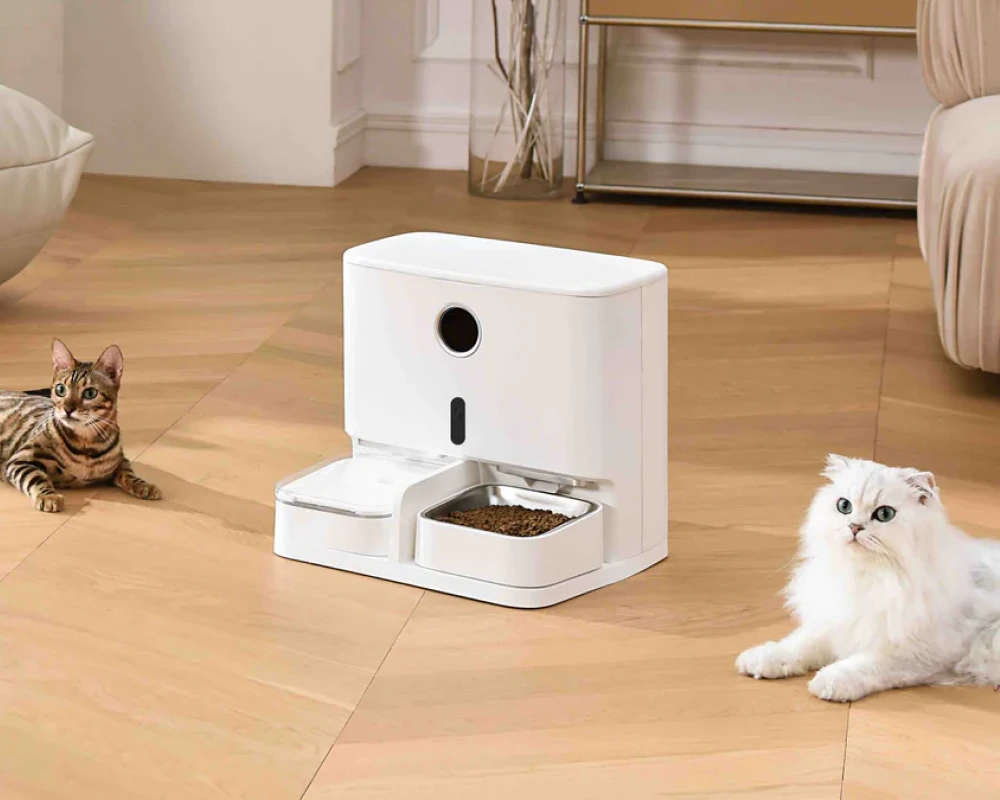 automatic dog food feeder